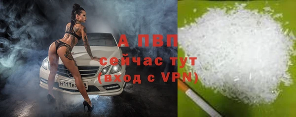 спайс Лабытнанги