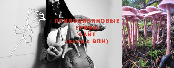 ECSTASY Ладушкин