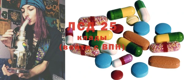 ECSTASY Ладушкин