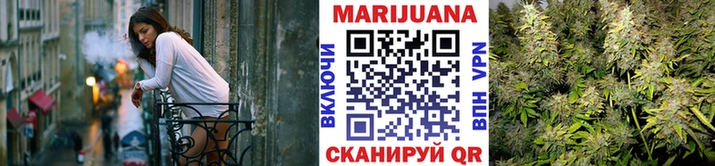 наркотики  Сясьстрой  Бошки марихуана гибрид 